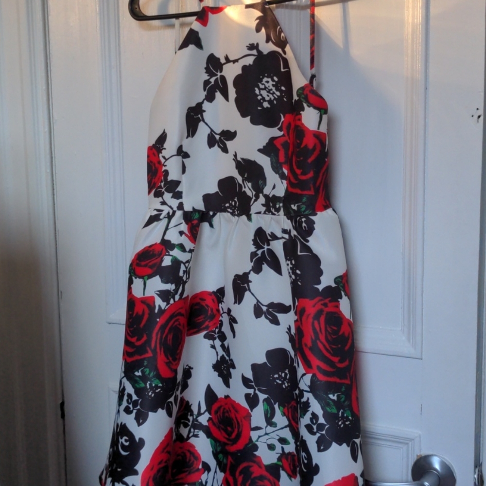 Roses garden dress